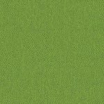 C16 - Light green